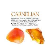 gxtbw 1 Pc Triple Prosperity Bracelet: Citrine, Green Aventurine, & Turquoise 8 mm Round Prosperity and Good Luck Crystals (Gemstone Bracelet) - African Pine Citrine Green Aventurine - View 10