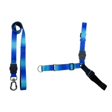 Pet Collars, Leashes & Harnesses Sets - Màu xanh lam - Xem 1