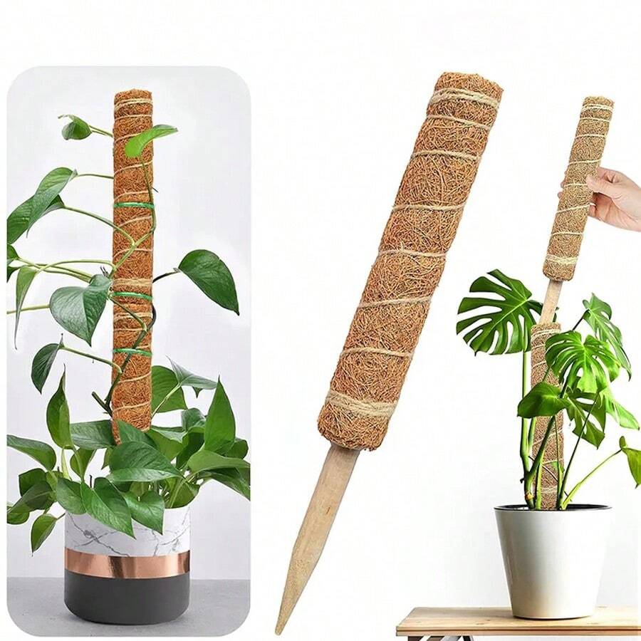 30/40/50公分植物攀爬桿攀爬藤椰子棕櫚桿diy可重複使用棍子植物支架苔蘚椰子棕櫚藤植物棒延伸器 - 棕色 - 查看 1
