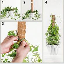 30/40/50公分植物攀爬桿攀爬藤椰子棕櫚桿diy可重複使用棍子植物支架苔蘚椰子棕櫚藤植物棒延伸器 - 棕色 - 查看 5