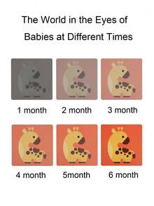 4-level Visual Aid Card For Real-life Object Recognition, Suitable For 12-36 Months Baby - Red - View 2