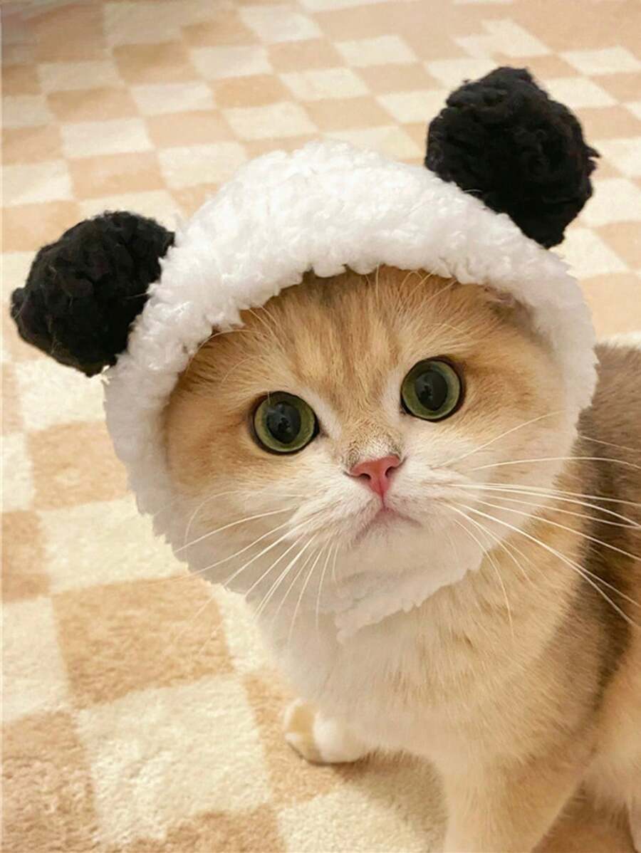 1 Miếng Đáng yêu Gấu Mũ Đối với Thú cưng - Kích thước có thể điều chỉnh Phù hợp Cái cổ Đường tròn - Hoàn hảo Đối với Cún con Chó & - Đen và trắng - Xem 1