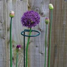 5pcs, Potted Plant Support Rack / Flower Vegetable Vine Climbing Bracket / Balcony Creative Decorative Rack, Plant Fixed Rod Fixed Gardening Flower Plant Branch Dry Fixed Material Fiberglass Rod Rod Bonsai Support Rod Flower Vine - Army Green - View 8