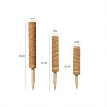 30/40/50公分植物攀爬桿攀爬藤椰子棕櫚桿diy可重複使用棍子植物支架苔蘚椰子棕櫚藤植物棒延伸器 - 棕色 - 查看 2