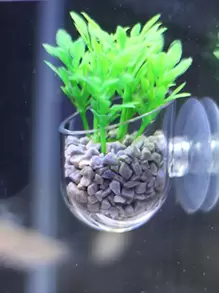 Plastic Fish Tank Decoration Cup, Suitable For Loading Small Stones And Food