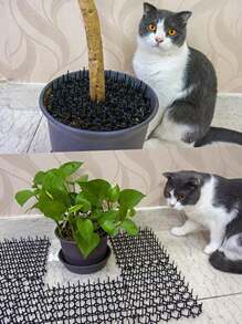 5入組防貓墊,塑料寵物尖刺驅蚊裝置和花圃防貓網,用於動物控制 - 黑色 - 查看 5