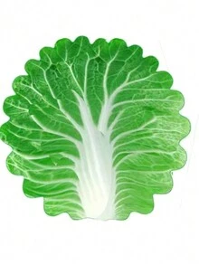 Outdoor Portable Cabbage Print Flannel Blanket - Green - View 3