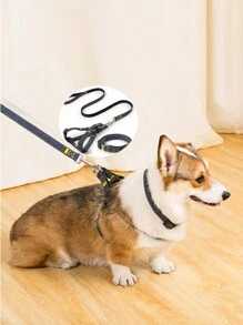 1入組多色牛仔布寵物胸帶套裝包括胸帶、項圈和牽繩,適合大、中、小型犬 - 黑色 - 查看 1