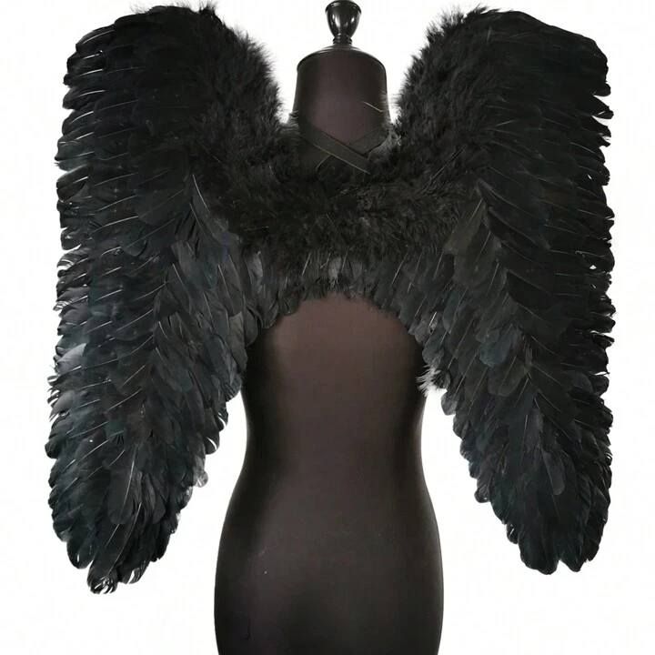 Black Feather Wings