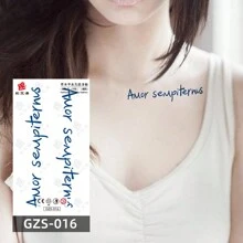 2 件草藥臨時紋身貼紙,帶有艾菲爾鐵塔圖案,簡單清新防水英文短語和字母紋身,手臂防水持久一次性假紋身,持續 7-15 天,適合男士和女士 - 藍色 - 查看 4