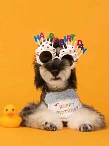 1pc Pet Birthday Glasses - Multicolor - View 3