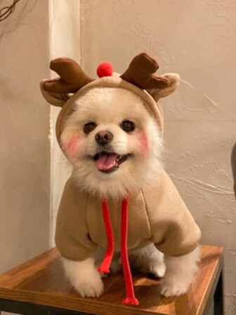 1 st. Jul Hjort Kostym Hoodie För Små & Medium Hundar Och Katter ( Teddy , Pudel , Fransk bulldogg )