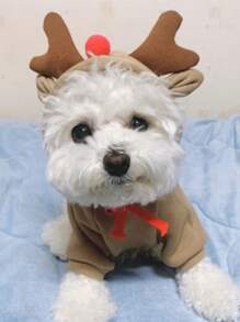 1 Peça Moletom Com Capuz Para Fantasia De Natal Para Cães E Gatos Pequenos E Médios (teddy, Poodle, Bulldog Francês, Etc.) - Caqui - Ver 4