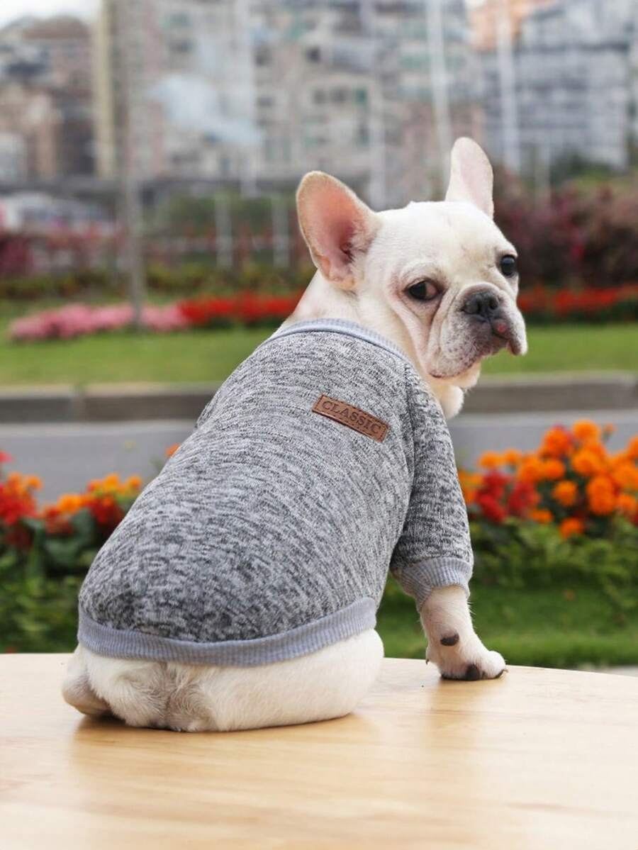 Áo nỉ & Áo Hoodie Thú cưng - Xám - Xem 1