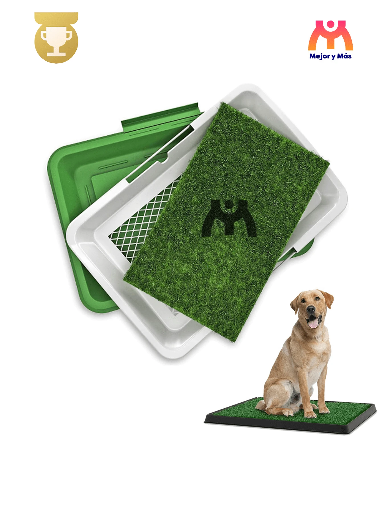 Tapete Para Perro entrenador de pasto sintético tapete para baño perros lavable + ¡Regalo! - Verde - Ver 1