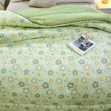 1pc Comforter, Solid Color Filling, Suitable For Warmth And Comfort In Spring/autumn/winter - Apricot - View 8