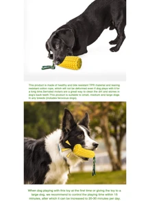 Juguete para perros, mazorca de maíz amarillo, juguetes chillones para cachorros, mascotas resistentes que mastican un cepillo de dientes, limpiando los dientes traseros, agregue pasta de dientes, juguete para masticar para perros de tamaño mediano y grande, todas las razas, juguete chillón para cachorro de maíz amarillo, mascotas resistentes que mastican un cepillo de dientes, limpiando los dientes traseros, agregue pasta de dientes, juguete para masticar para perros de tamaño mediano y grande, todas las razas - Amarillo - Ver 6