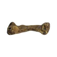 Dinosaur Figure Toys Room Decoration - Grey - View 4