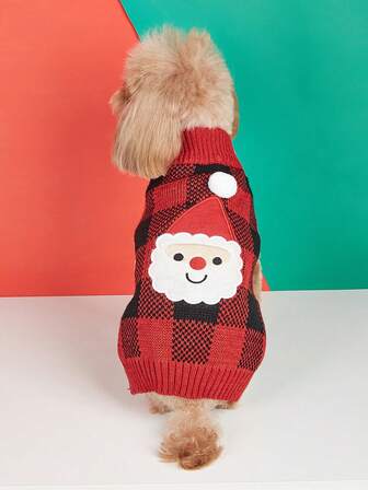 Evcil Hayvan Kazakları