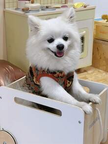 1pc Soft Padded Vest Jacket For Dogs And Cats, Suitable For Indoor And Outdoor Activities - Nhiều màu - Xem 5