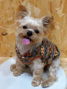 1pc Soft Padded Vest Jacket For Dogs And Cats, Suitable For Indoor And Outdoor Activities - Nhiều màu - Xem 2