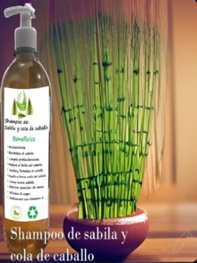 Shampoo de sabila y cola de caballo  (1 Litro) - Café - Ver 2