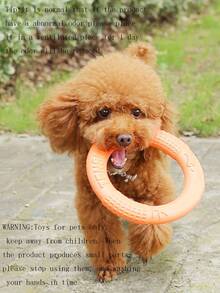 1 件字母图案猫/狗爱好者礼物和狗/猫妈妈爱宠物训练戒指