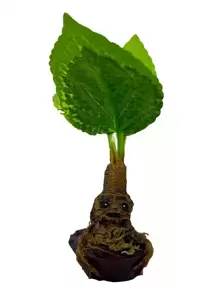 Planta Artificial, Maceta de Resina, Mandrágora de Otoño - Marrón - Ver 1