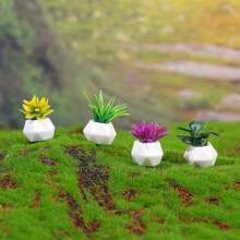Conjunto De 13 Piezas De Plantas En Macetas De Cactus Para Decoración De Escritorio Interior, Incluidas Botellas Ecológicas Y Miniaturas De Flores Simuladas - Plantas de jardín de cactus suculentas, paquete mixto de 13 - Ver 5
