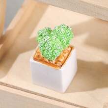 4入組盆栽仙人掌植物,室內裝飾用,diy生態瓶微景觀 - 多肉仙人植物4種混合裝 - 查看 7