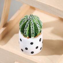 4入組盆栽仙人掌植物,室內裝飾用,diy生態瓶微景觀 - 多肉仙人植物4種混合裝 - 查看 6