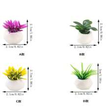 Conjunto De 13 Piezas De Plantas En Macetas De Cactus Para Decoración De Escritorio Interior, Incluidas Botellas Ecológicas Y Miniaturas De Flores Simuladas - Plantas de jardín de cactus suculentas, paquete mixto de 13 - Ver 2