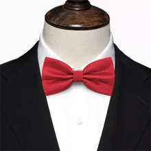 1條紅色男士正式領帶,適用於婚禮、商務和派對