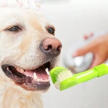 1 Miếng Ba đầu Bàn chải đánh răng Thú cưng Đối với Cả hai Mèo & Chó , Lông mềm Đối với Dễ Làm sạch răng & Quan tâm , Chống trơn trượt ( Màu sắc tùy ý ) - Nhiều màu - Xem 4