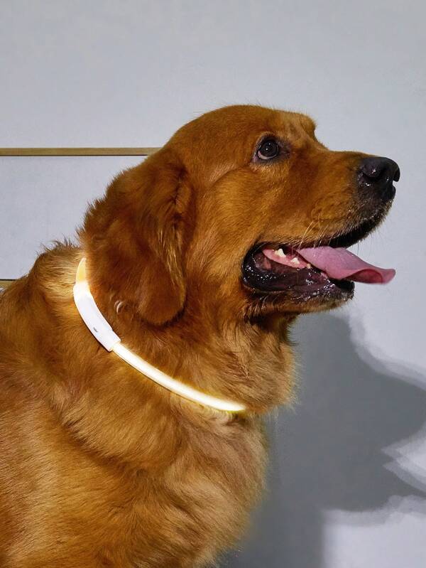 1pc  Rechargeable LED Light Up Pet Collar