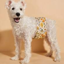 New Cross-Border Product Tropical Fruit & Cherry Cartoon Fruit Animal Pattern Male Dog Physiological Pants, Anti-Harassment, Washable Male Dog Diaper