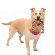 1pc Tpr Material Dog Chew Toy With Rope Knot - Orange - View 4