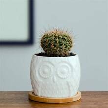 1 件猫头鹰花盆陶瓷流釉，多肉植物花盆，仙人掌花盆，花盆家庭办公桌花园礼物创意，2.6 英寸 * 2.8 英寸，园艺工具，园艺工具 - 白色 - 查看 4