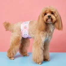 New Cross-Border Product Tropical Fruit & Cherry Cartoon Fruit Animal Pattern Male Dog Physiological Pants, Anti-Harassment, Washable Male Dog Diaper