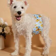 New Cross-Border Product Tropical Fruit & Cherry Cartoon Fruit Animal Pattern Male Dog Physiological Pants, Anti-Harassment, Washable Male Dog Diaper