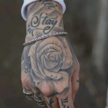 1入時尚男女適用22cm長,3mm/5mm/7mm寬銀色不鏽鋼龍骨手鍊,適合日常佩戴