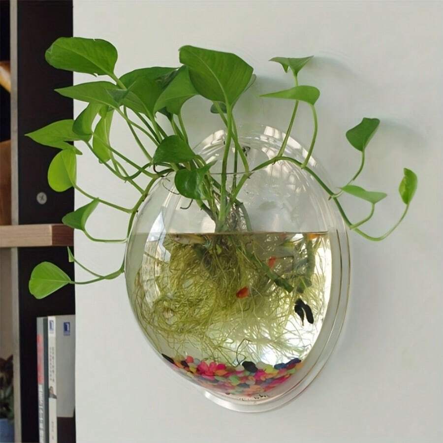 Trong suốt Treo tường Thủy canh Chậu hoa - Màu be - Xem 1