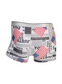 New Arrival 3pcs Iced Silk Men's Underwear, Printed, Highly Elastic, Comfortable, Antibacterial, Breathable Mid-waist Boxers