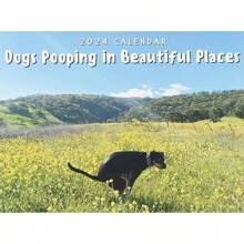 1Pc 2024 Dog Poop Calendars Funny Dog Calendars, And Funny Gifts For Friends - Multicolor - View 8