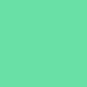 สีเขียวมิ้นท์