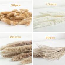 100入組幹燥的草,秋季婚禮波西米亞風格家居桌面裝飾乾花花束,農家鄉村派對,包括白色和自然蘆葦草、兔尾草