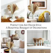 100入組幹燥的草,秋季婚禮波西米亞風格家居桌面裝飾乾花花束,農家鄉村派對,包括白色和自然蘆葦草、兔尾草