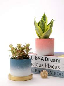 1套簡約創意漸層陶瓷花盆帶碟家用綠色種植 - 淺藍色 - 查看 3