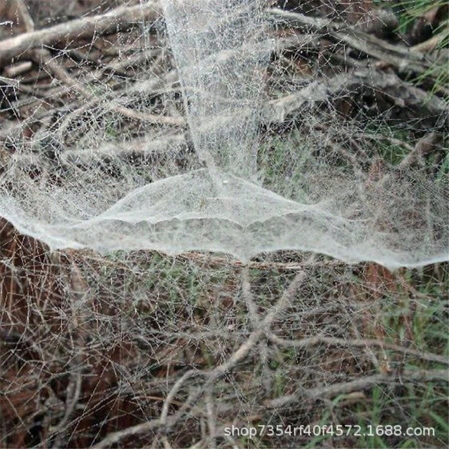 20g Halloween Decoration Spider Silk, Realistic Spider , For Film