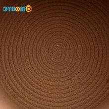 Oyhomo棕色獅子收納筐帶蓋,玩具衣物收納筐,編織繩家居裝飾收納盒,尺寸12.6x12.6英寸